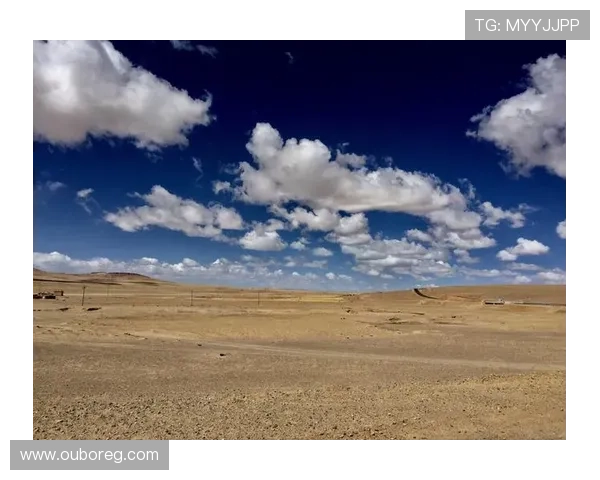 开云线上网址下载常见问题解答，解决你的使用疑问